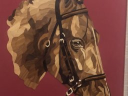 Exposición Pinceladas de canas